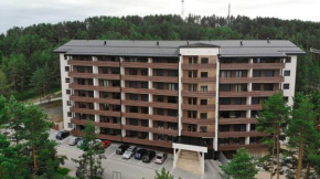 Vila Pekovic Apartman P8